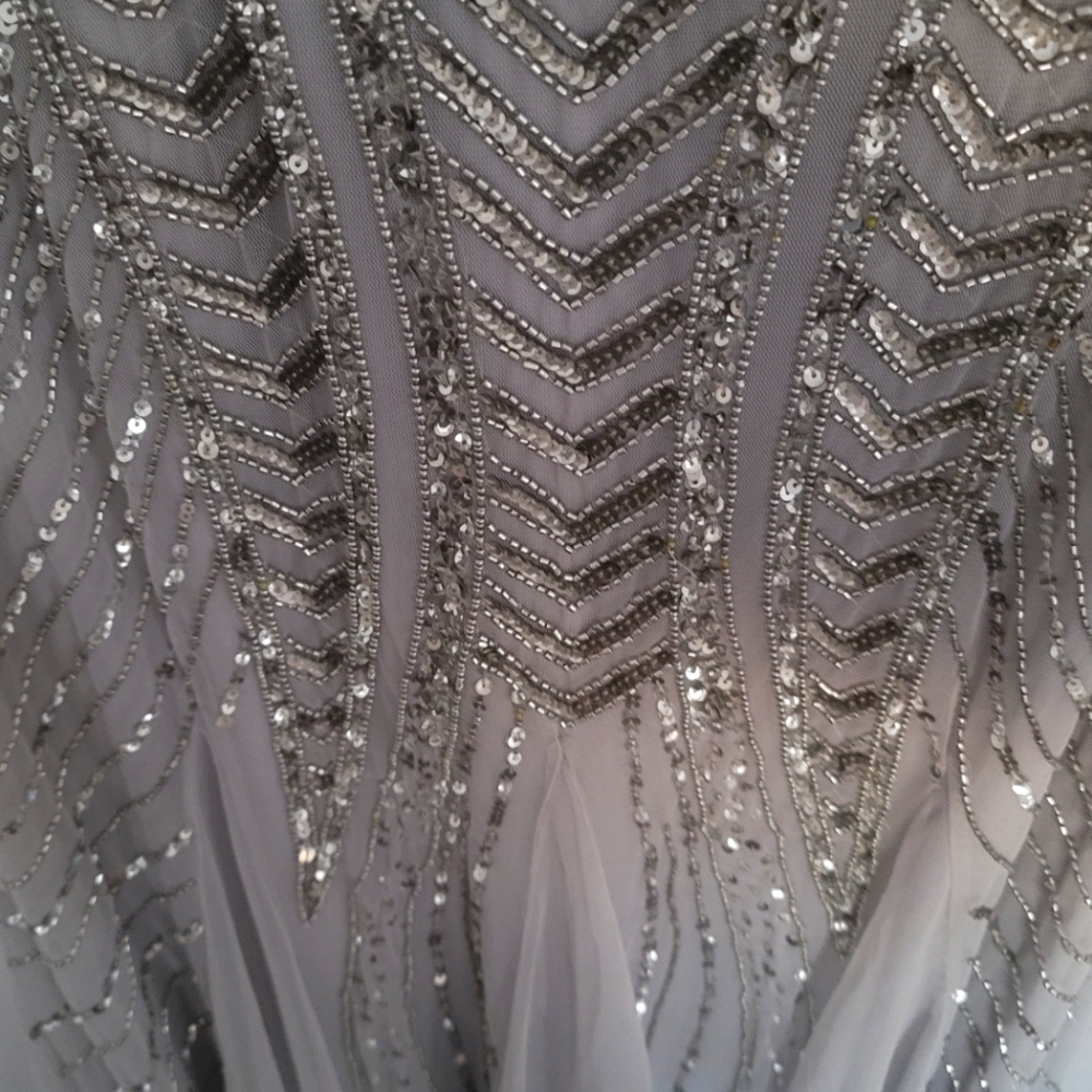 Adriana Papelle elegant silver dress